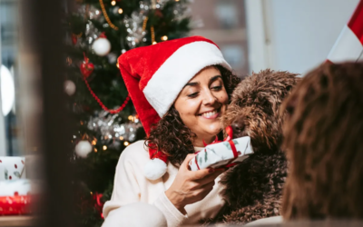 Holiday Gift Ideas for Pets